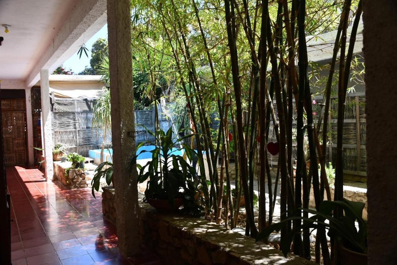 La Playita Hostal San José del Cabo Exterior foto