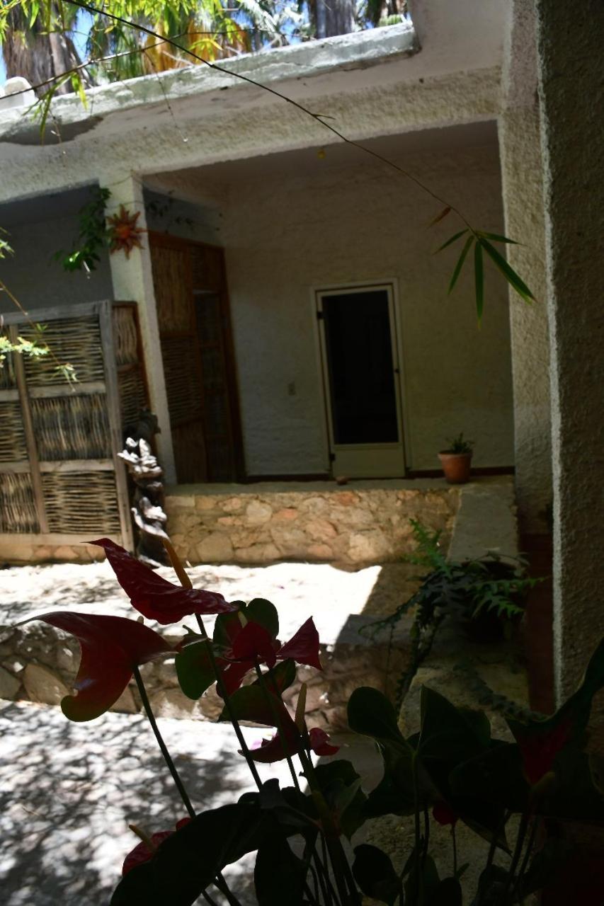 La Playita Hostal San José del Cabo Exterior foto